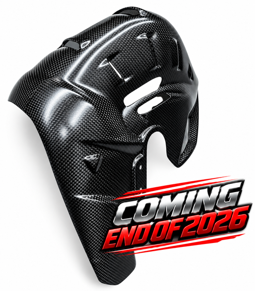 heatguard corse carbonfiber Ducati Panigale Streetfighter V4 2025-