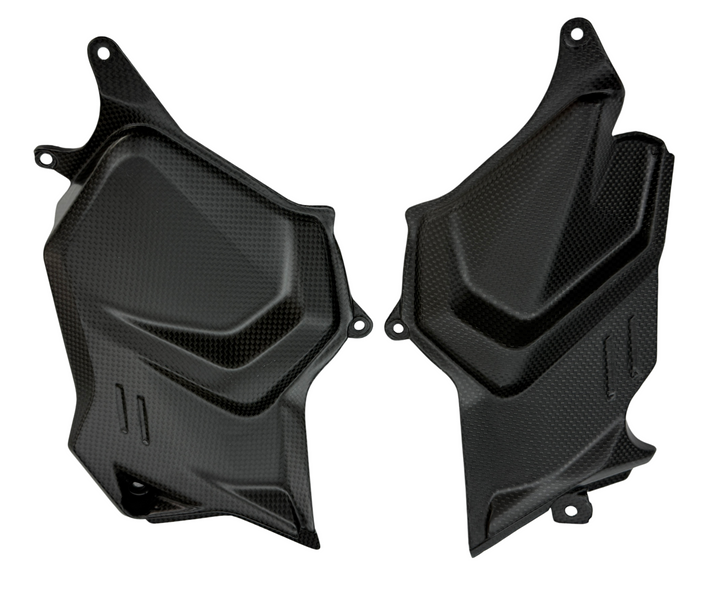 small side panels carbonfiber Ducati V2 2025-