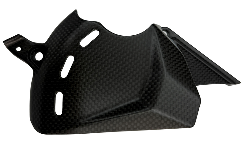 sprocket cover carbonfiber Ducati V2 2025-