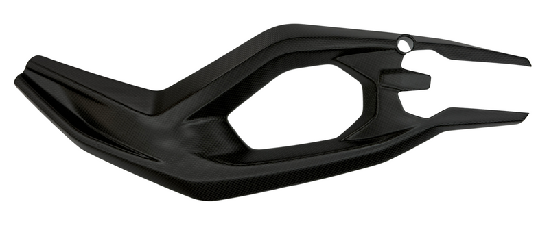 swingarm cover Race carbonfiber Ducati V2 2025-