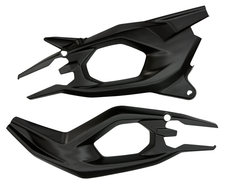 swingarm cover Race carbonfiber Ducati V2 2025-