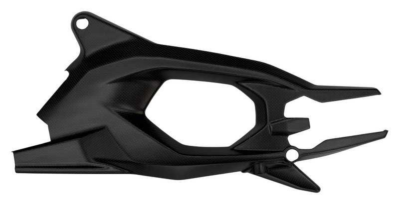 swingarm cover Race carbonfiber Ducati V2 2025-