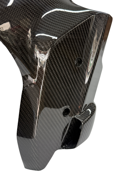 front mudguard carbon for BMW S M 1000 RR 2019-