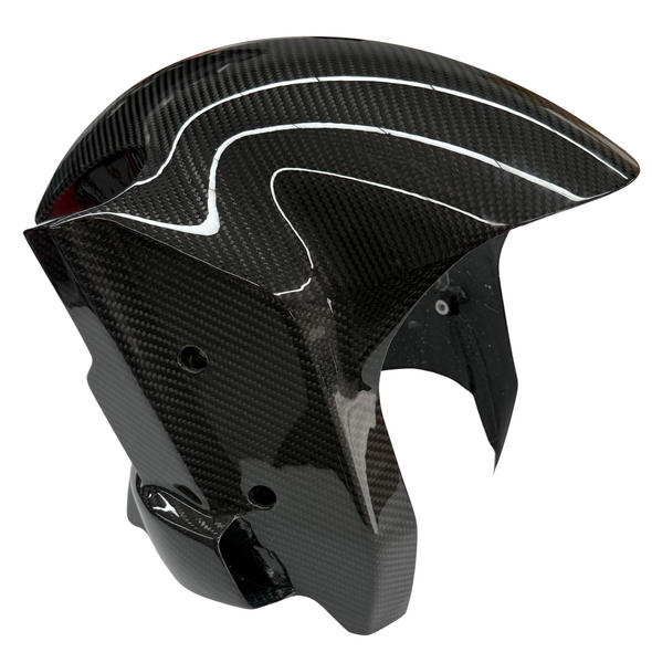 front mudguard carbon for BMW S M 1000 RR 2019-