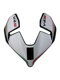 headlight fairing carbonfiber Ducati Streetfighter V4 V2 2025-