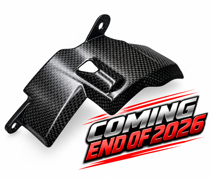 engine cover carbon Ducati Panigale V4, Streetfighter V4