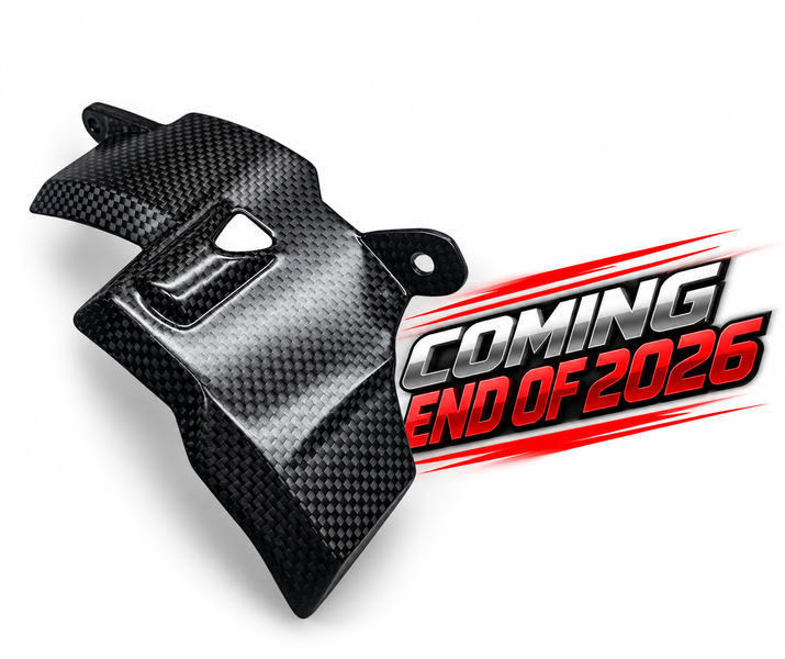 engine cover carbon Ducati Panigale V4, Streetfighter V4