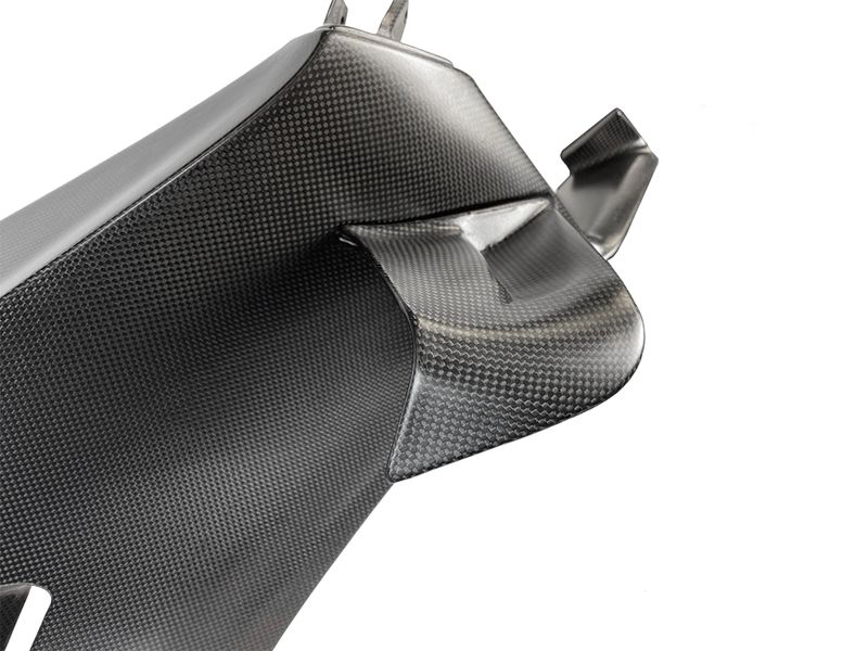carbon fiber winglets Ducati Panigale V4