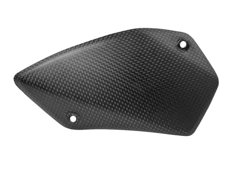 swing arm protector carbon for Ducati Multistrada V4 Pikes Peak / RS