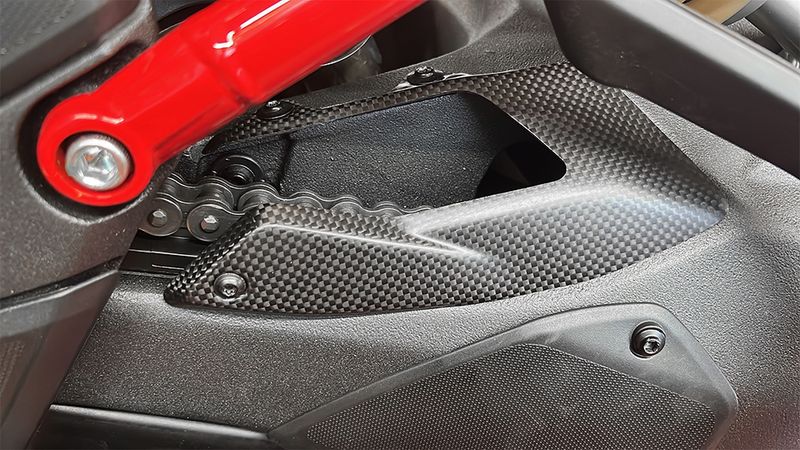 swing arm protector carbon for Ducati Multistrada V4 Pikes Peak / RS