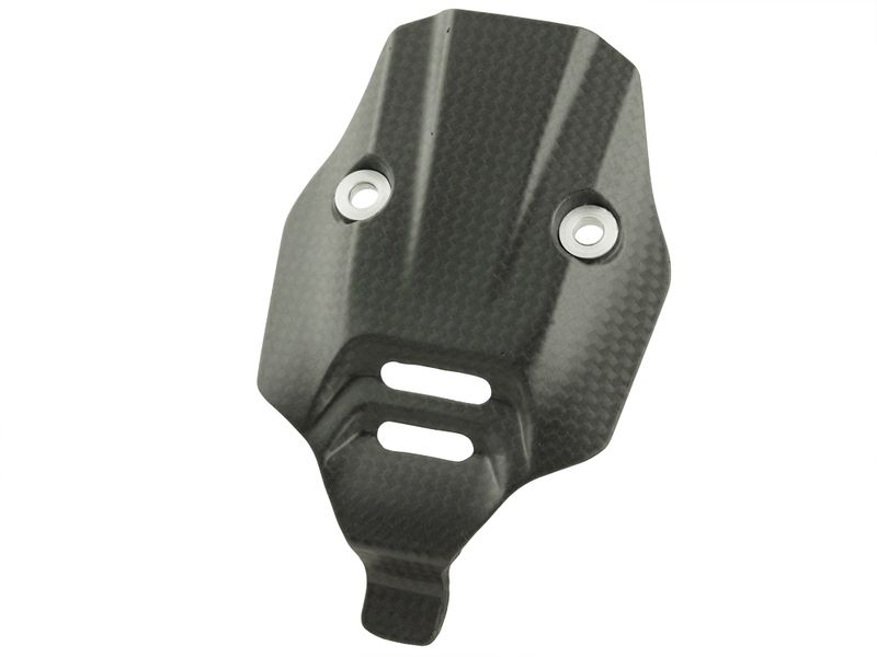 number plate cover carbon for Ducati Panigale V4