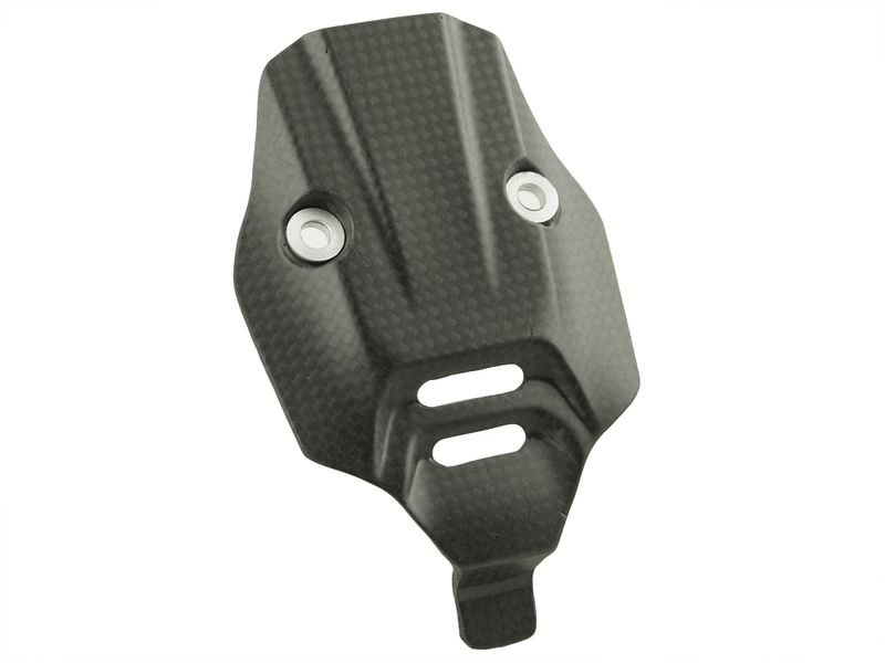 number plate cover carbon for Ducati Panigale V4