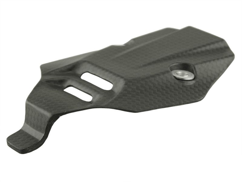 number plate cover carbon for Ducati Panigale V4